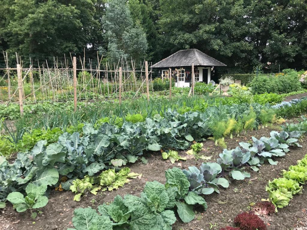 Het Wagenhuis Loon op Zand Buitenkant foto